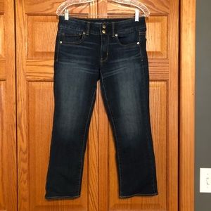 American Eagle Artist Crop Jeans